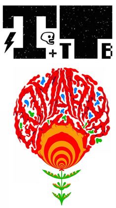 Logo_Teleboys